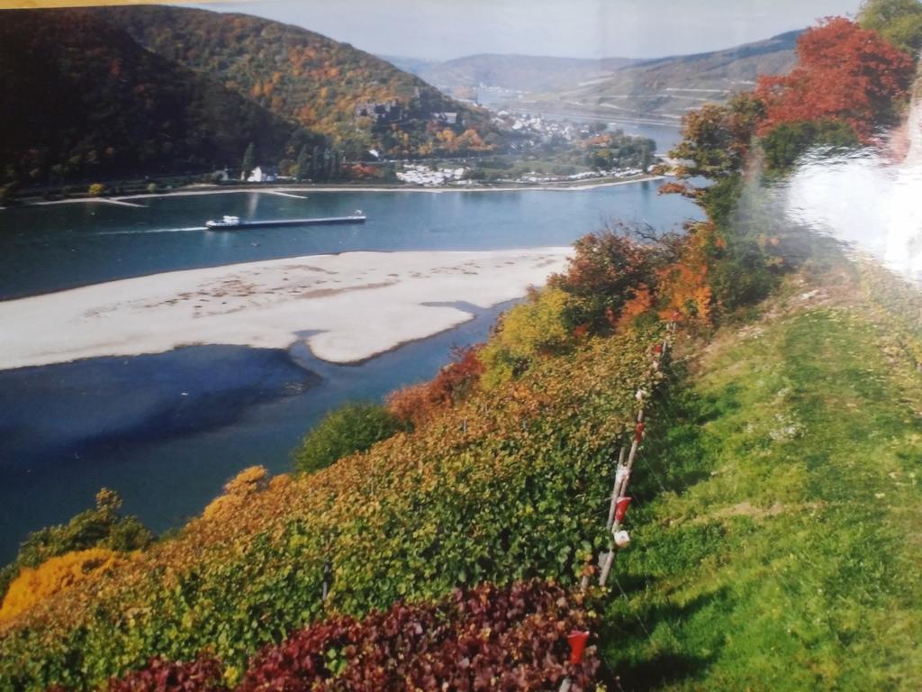 Pension Johanna Rüdesheim am Rhein Exterior foto